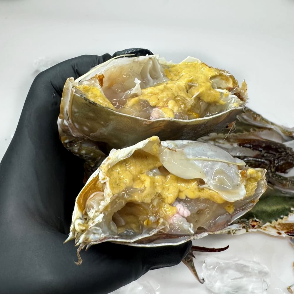 수산특공대 서해안 활 숫꽃게, 3-5미, 1kg, 1개