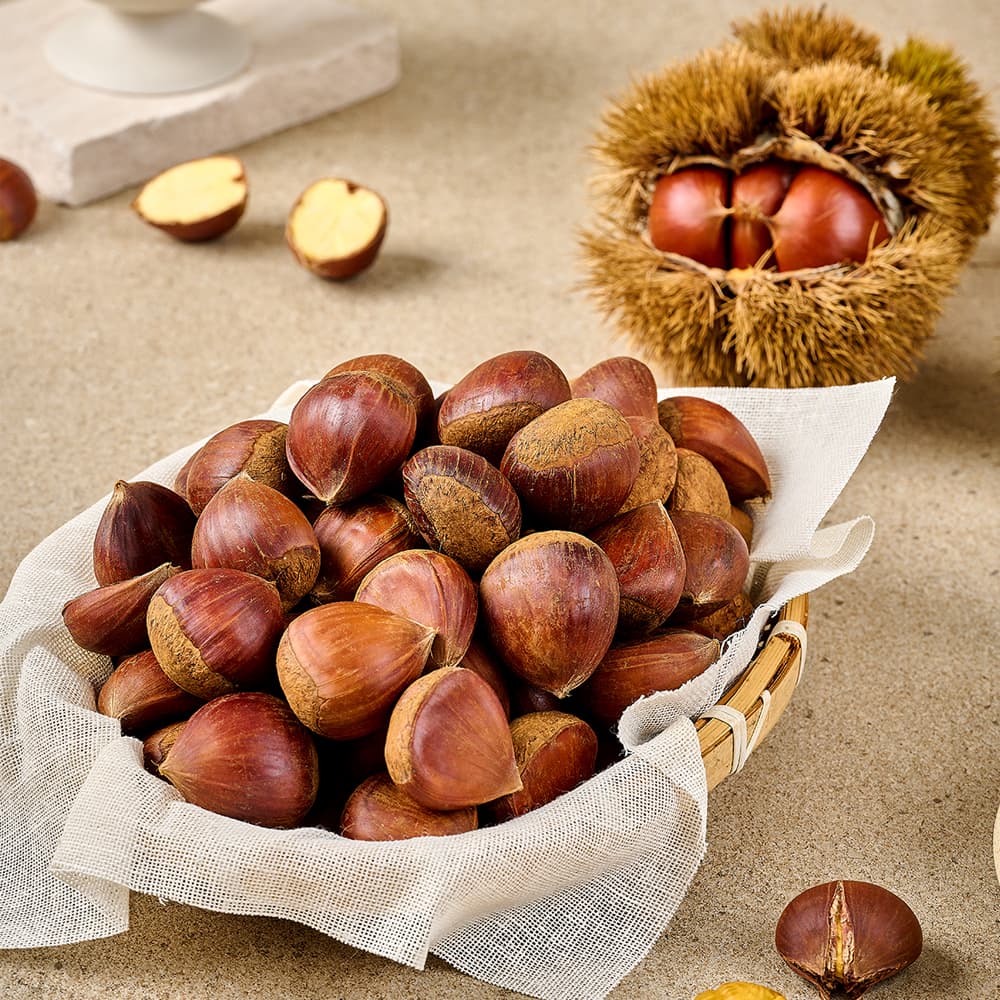 공주 정안 대령 알밤, 대, 500g, 1박스