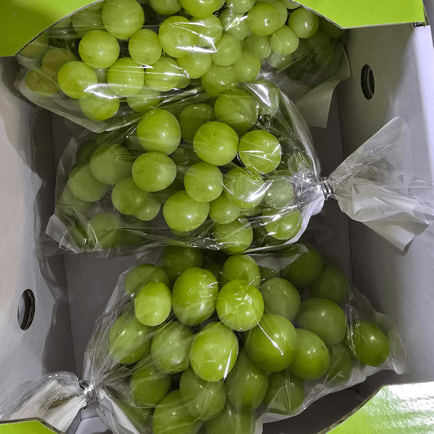 씨없는 포도 샤인머스켓, 랜덤과, 2kg, 1개