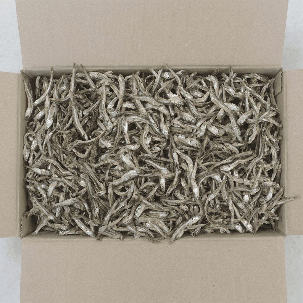 국내산 햇 고바멸치, 1.5kg, 1개
