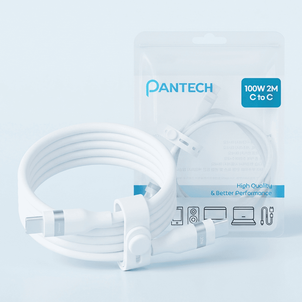 팬택 100W 실리콘 C타입 to C타입 초고속충전 케이블, 화이트, 2m, 1개
