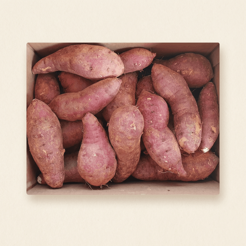 달콤고구마 해남 햇 황토 꿀고구마, 베니하루카, 대, 3kg, 1박스